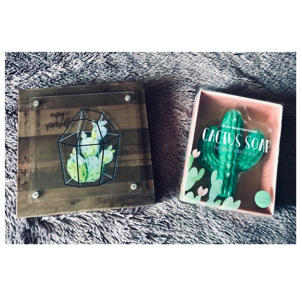 Cactus Lover Gift Set 🌵 Minimalist Wall Hanging